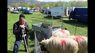 TARGUL DIN COMUNA PUI JUDETUL HUNEDOARA 1 MAI 2023! BERBECI DE PRASILA ,CATEI DE RASA SI MULTA LUME!