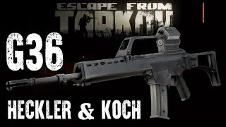 Для кого и для чего? HK G36 [Проект Оружейка]