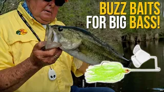 Buzz Baits for Big Bass!