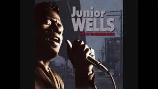 Junior Wells - Best of the Vanguard Years [Full Album] Liner notebook [HQ 360 vbr]