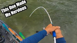 Fish Are Going Crazy Over This Lure (Saltwater Fishing)