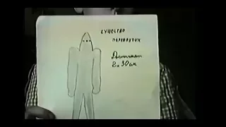 Посадка НЛО с выходом существ в Воронеже, 1989 г.