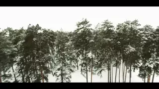 Зимний лес Тольятти с воздуха. Аэросъемка в Тольятти. Январь  2015 г.