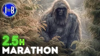 Greatest Bigfoot Stories Marathon - The Full 2.5 Hour Compilation