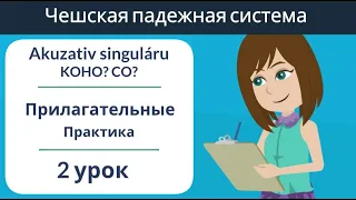 Akuzativ singuláru - KOHO? CO? | Прилагательные | Практика |Чешские падежи