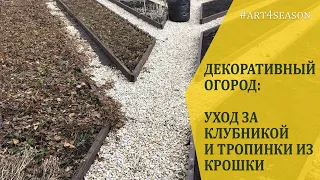 Уход за декоративным огородом