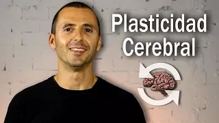 Neuroplasticidad - Plasticidad Cerebral