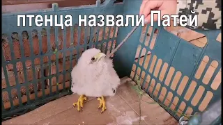 Неожиданная находка