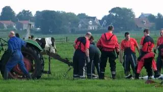 23-08-2011 KOE ZOEKT VERKOELING IN SLOOT LANGS BIJENPAD IN HAARLEM-SCHALKWIJK