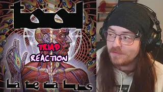 GUITARIST REACTS TO Tool - Triad