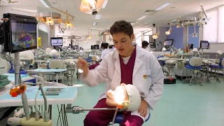 15 questions with Andrew Somerville - Bachelor of Oral Health student