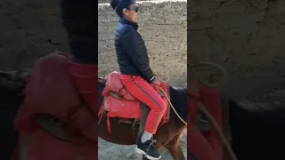 Kufri Horse Ride#Good Experience#Amazing#Shimla#Youtubeshorts#Shorts#Full Info on YouTube#@Joanmani