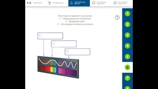 РЭШ Урок 38. Поперечность световых волн.  Электромагнитная природа света.