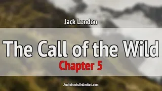 The Call of the Wild Audiobook Chapter 5