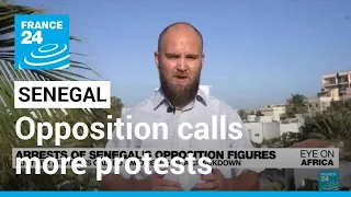 Senegal opposition calls more protests over leader's trial • FRANCE 24 English