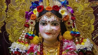 ভগবানের অপূর্ব শৃঙ্গার🙏🙏#Youtube video #vrindavanpreminitai #Vrindavan