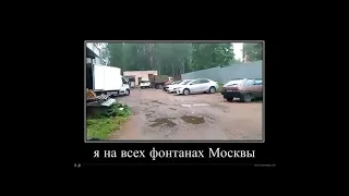 Собака и Пивная Кега