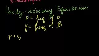 Hardy-Weinberg Principle