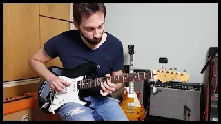 "Wild Theme" (Local Hero) Live - Mark Knopfler - Cover by Carmine D'Onofrio