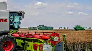 6 KOMBAJNÓW | Wielkie Żniwa 2020 | 500Ha Rzepaku | Big Harvest in Poland | OHZ GARZYN