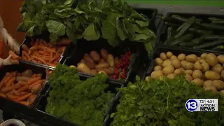 13 Action News Big Story: The Fight Against Food Insecurity