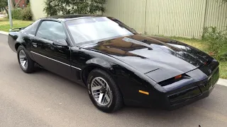 MetsaManin Pontiac Firebird