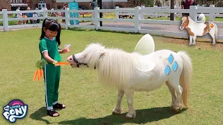 Yuk Kasih Makan Kuda Poni Mirip My Litte Pony | Mengenal Binatang Lucu
