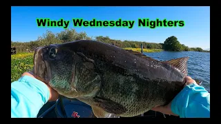 FOUND A GIANT DELTA BASS | Windy Wednesday Nighters Ep 4 |