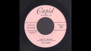 The Dusters - She's Mine - Rockabilly 45