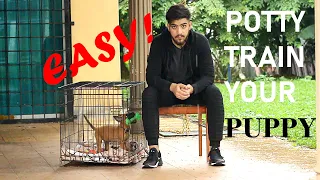 How to potty train your puppy | Complete GUIDE!