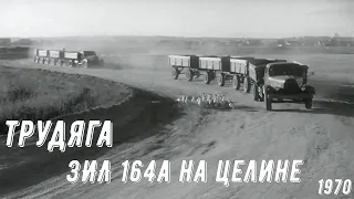 "Автопоезда на целине".  ЗиЛ 164А и 3-и прицепа. (1970 год)