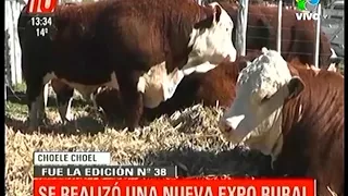 Choele Choel: Se realizó una nueva Expo Rural