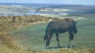 Easter Island Music Part 1 Rapa Nui