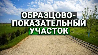 Образцово-показательный участок в 5 га. Радосвет - родовые поместья.