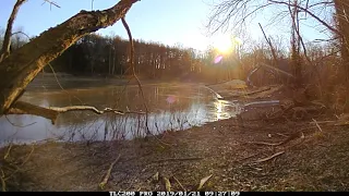 Controlled Dam Breach (Removal) Construction Timelapse