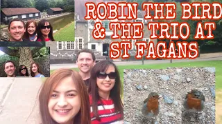 ROBIN THE FRIENDLY BIRD IN THE FOREST || HaidyVlogs UK