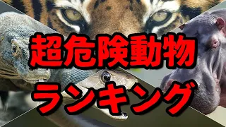 逃げろ!!世界超危険動物ランキング