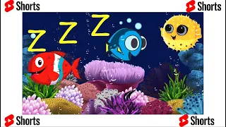 Lullaby for Babies to Go to Sleep - Relaxing Fishes for Babies - Fish Lullaby 🐠 [ Short version ]