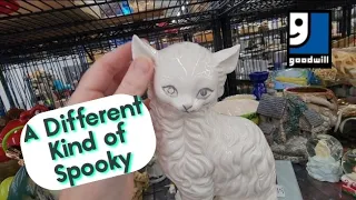 A Different Kind of Spooky - Shop Along With Me - Goodwill Thrift Store