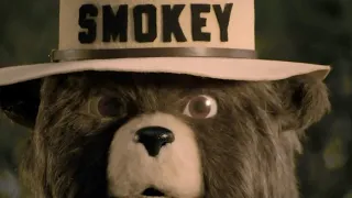 Smokey Bear has a PTSD episode