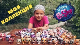 МОЯ КОЛЛЕКЦИЯ LPS | Jenny K.