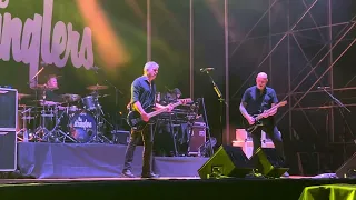 The Stranglers - Pordenone Blues Festival 2023