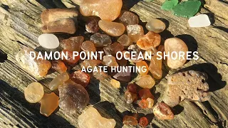 Damon Point-Ocean Shores Agate Hunt! Rockhounding for Agates, Petrified Wood, Moonstones & Seaglass