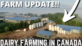 Big Update On The Farm!