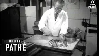 Hand Made Chocolates (1953)