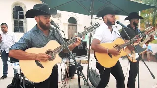 Los Traviezoz de Olancho - Quererte jamás en vivo (2019)