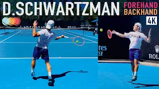 Diego Schwartzman | Court Level Practice