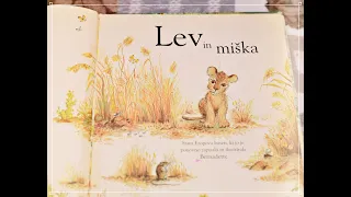 LEV in MIŠKA | Pravljice za lahko noč