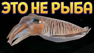 ЭТО НЕ РЫБА ( Feed and Grow: Fish )