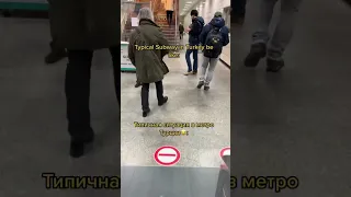 Кошки везде в Стамбуле😂😂